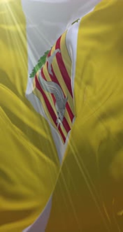 Realistic Waving Flag with Emblem Vertical Animation