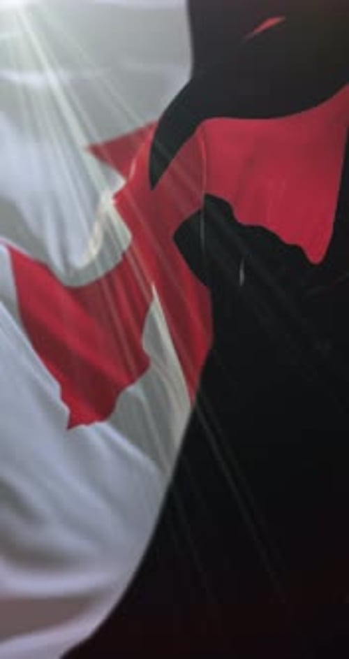 Drapeau des Templiers
