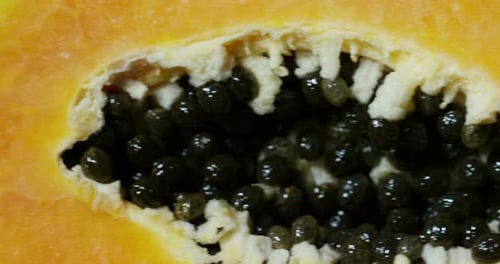 reife und farbenfrohe Papaya in extremer Makro-Nahaufnahme. Konzept von biologischem und frischem Obst. distanziert