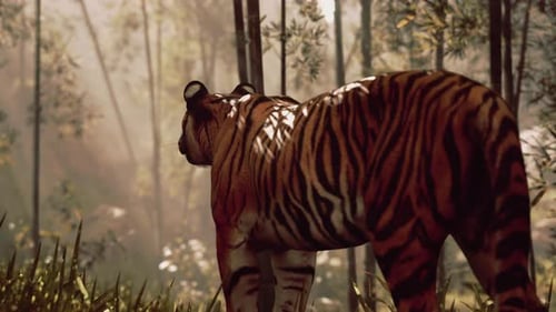 Animated 3D Tiger Standing in a Lush Bamboo Forest