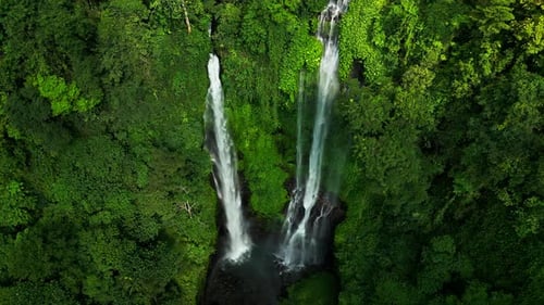 Biggest Waterfall on the Bali Sekumpul Waterfall Drone View