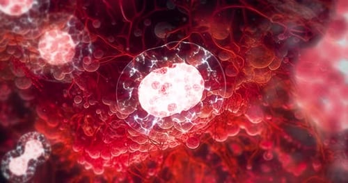 Biologischer Zelltrennungsprozess