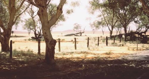 Cinematic Panning Shot of Arid Nature Landscape