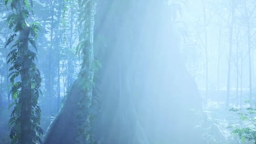 Majestic Tree Stands in Dense Forest