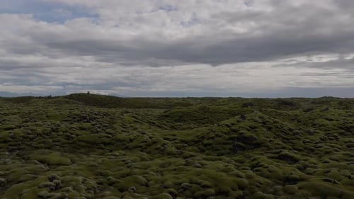 Moss-Covered Lava Fields in Iceland
