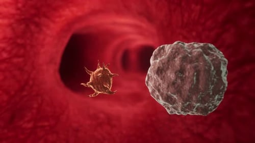 Cell in a Red Blood Vessel