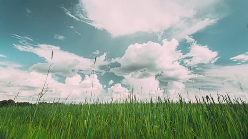 Countryside Rural Field Landscape With