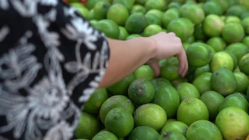 A woman selects ripe limes to purchase at a supermarket - isolated on hands checking for freshness