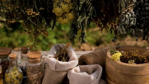 Dried Herbs and Flowers Alternative Medicine and Medicinal Tea Selective Focus