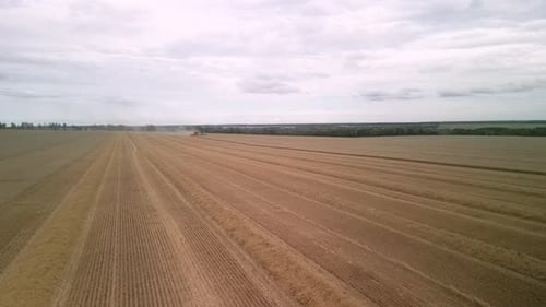 Wheat field aerial view in Ukraine