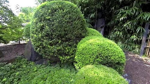 Steadicam shot moving through Japanese garden to close-up of statue of Jizo.