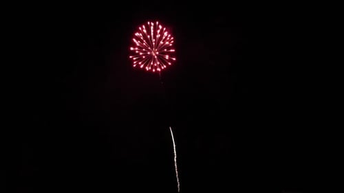 Single Firework Going Off In The Dark Sky. Low angle