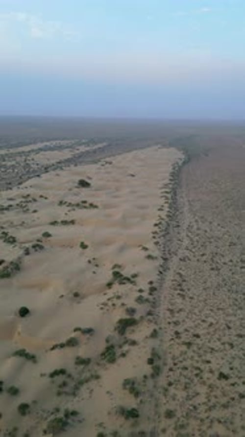 Aerial 4K drone view of endless golden sand dunes with green vegetation in Jaisalmer, Rajasthan