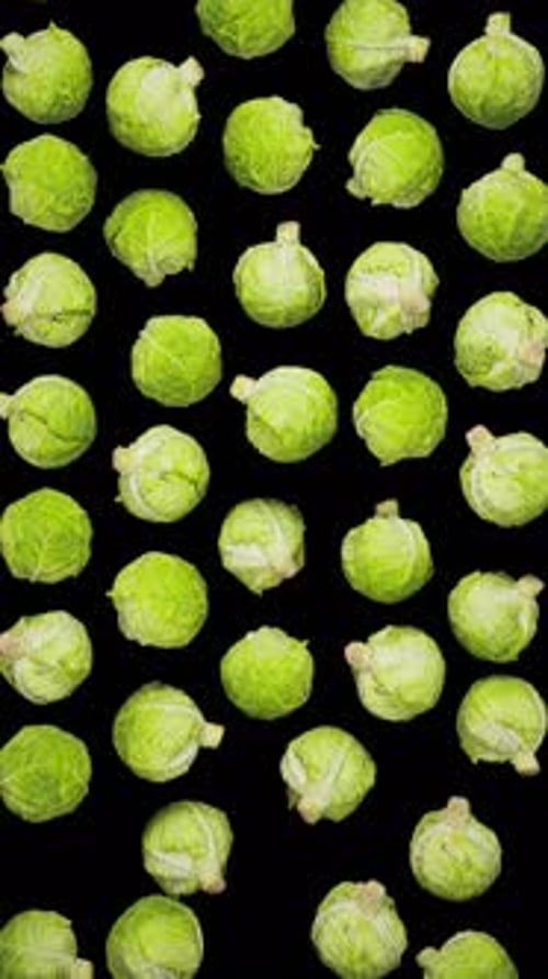 Vertical Falling Cabbages on Alpha