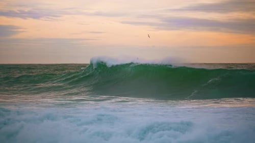 Ocean Wave Rolling Dusk Seaside at Cloudy Sky