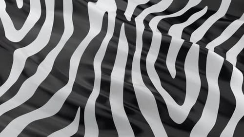 Fluid Zebra Stripe Abstract Pattern Waving Loop Background