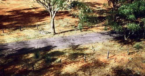 Path Through Australian Outback Under Scattered Trees on a Sunny Day