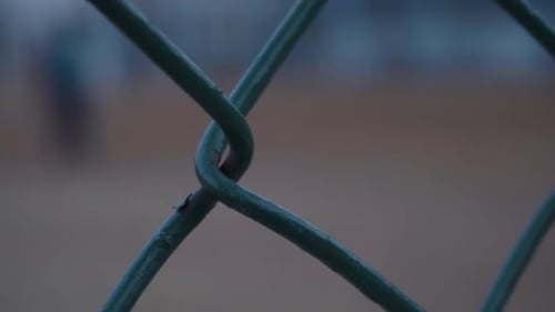 Close-Up of Green Chain-Link Fence