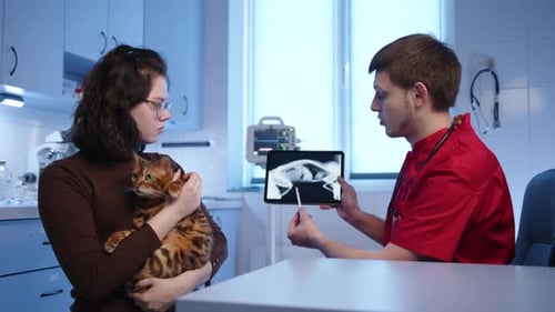 Vet Explains Cat X-Ray to Owner