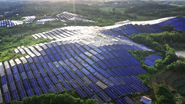 Aerial View Of Solar Panels (Solar Cell) With Sunlight. drone Flight ...