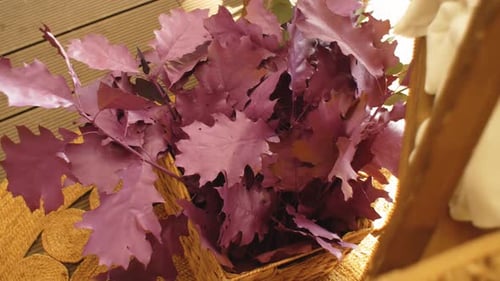 Autumn Season in Park Forest Autumn Leaf Fall Red Oak Leaves As Decoration for a Party Painted