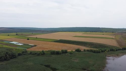 Aerial View of Geometric Figures on Agricultural Fields with Different Crops