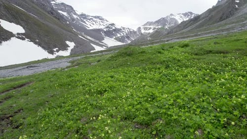 Fast aerial drone footage flying close over an alpine meadow before tilting up to reveal a rugged, g