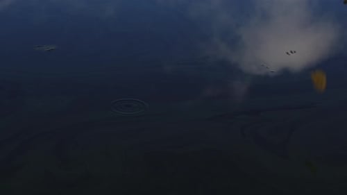 Reflexion von Bäumen und Wolken auf der Wasseroberfläche am frühen Morgen, Blätter, die auf das Wasser fallen, ruhiger Aquat