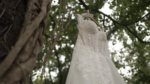 wedding dress hanging on tree branch in outdoor setting