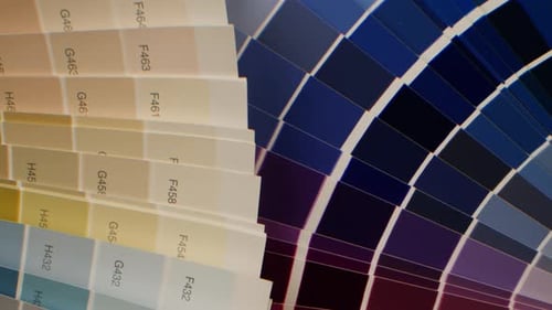 Color Pallet Choosing the Color By Designer Furniture Real Estate or Construction Works Creative