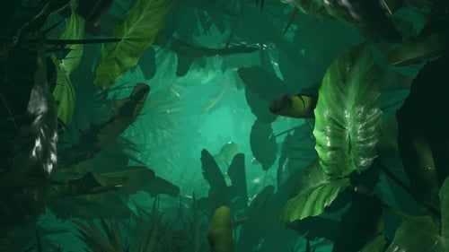 A walk through the jungle. Infinitely looped animation