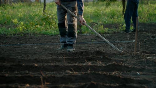 Farmer breaking up dirt with a hoe to grow plants in the field