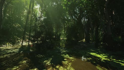 Fly Through Lush Green Jungle Swamp Scene