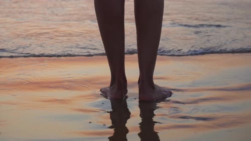 4k video. Woman's feet in the ocean on a beach, with the focus on the legs only. The setting is of a