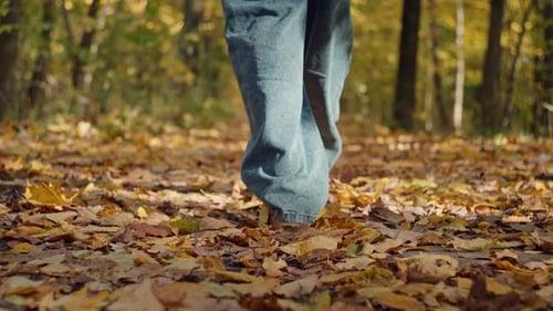 Closeup of Female Legs Walking in an Autumn Park