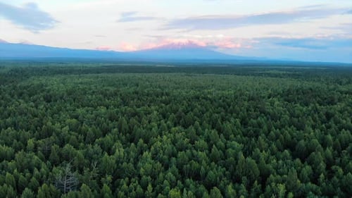 Aerial View of a Green Forest and Majestic Mountain Range at Sunset Media
