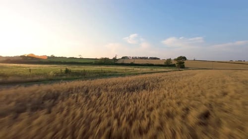 Aerial view of green fields and trees, United Kingdom.