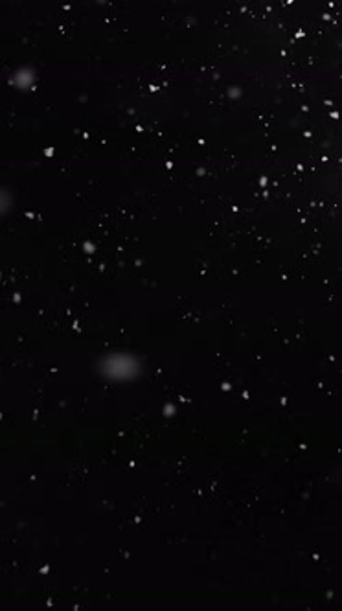 Falling Snow Isolated on Black Background Winter Slowly Falling Snow Effect Vertical Video