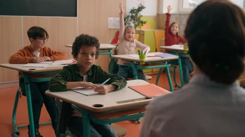 School Class Lesson Group of Multiracial Diversity Multiethnic Children Kids Studying Learning Rise