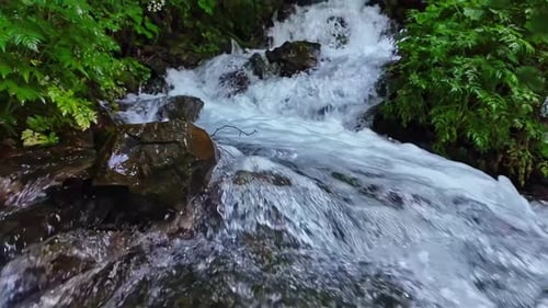 Fresh Mountain Water