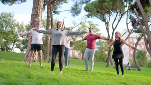 Senior Friends Practicing Yoga Together in a Park