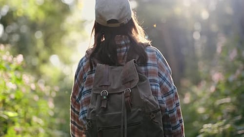 A Girl Walks Through a Natural Forest The Woman is Traveling Alone Active Lifestyle People in the