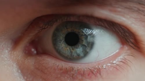 Close Up of Human Eye Opening and Looking Around