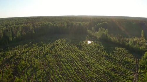 Déforestation. Vue aérienne de la zone de déforestation au coucher du soleil