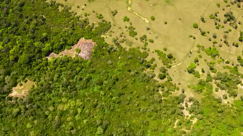 Jungles and Rainforests in Sri Lanka