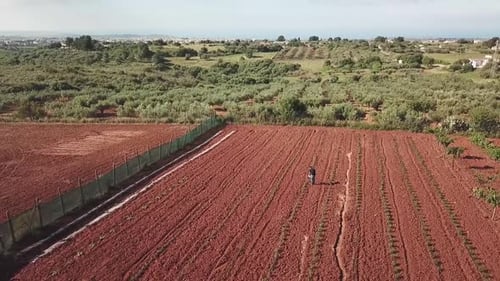 Drone view of a farmer in a red soil field in Sicily