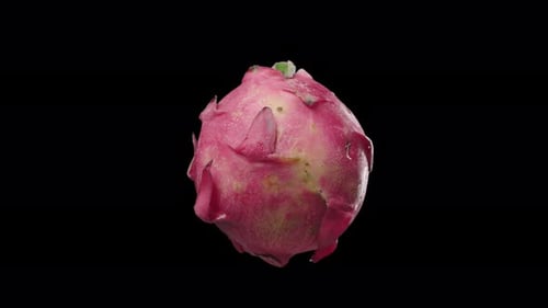 Floating Pitaya Fruit Isolated on Air