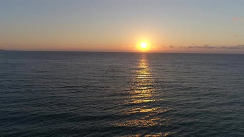Foto de un Zumbido acercándose a una bandada de pájaros que se zambullían en el agua para pescar con un hermoso amanecer