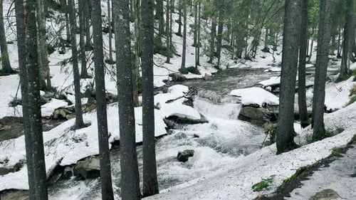 Fast River in Winter Forest. View of Speedy Stream Flowing Among Boulders