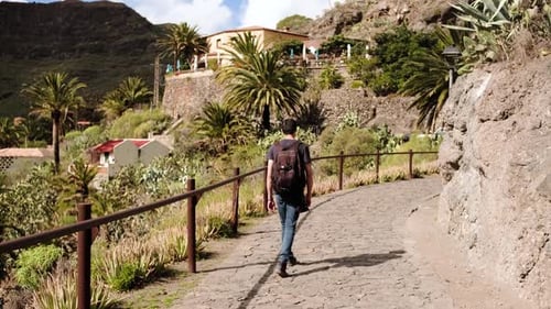 Young Adult Walking Path in Tropical Setting